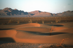 Weltweite Expeditionsreisen, Reisen mit Expeditionscharakter weltweit - Iran - Sandwüste in der Abenddämmerung