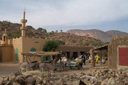 Weltweite Expeditionsreisen, Reisen mit Expeditionscharakter weltweit - Mali - Dorf mit Kirche und Transporteseln